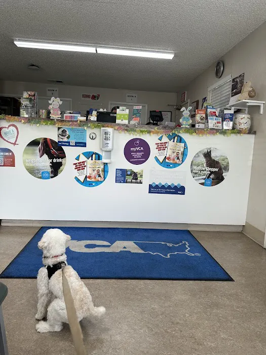 Vetco Vaccination Clinic Picture 1