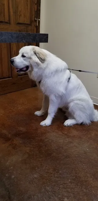 Perry County Animal Hospital Picture 2