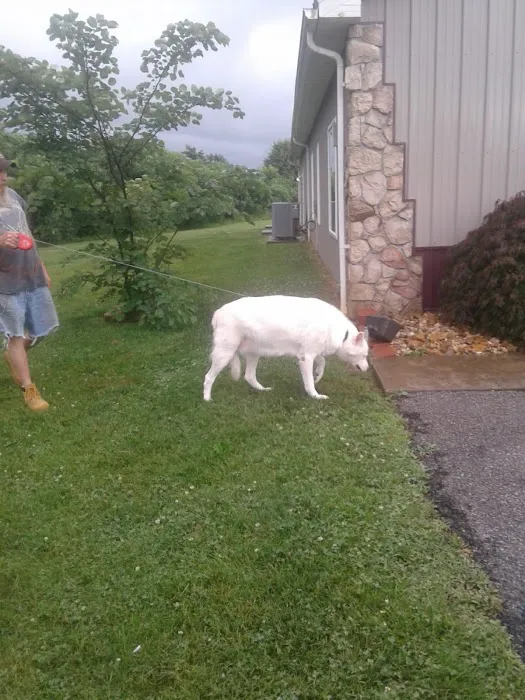 Perry County Animal Hospital Picture 8