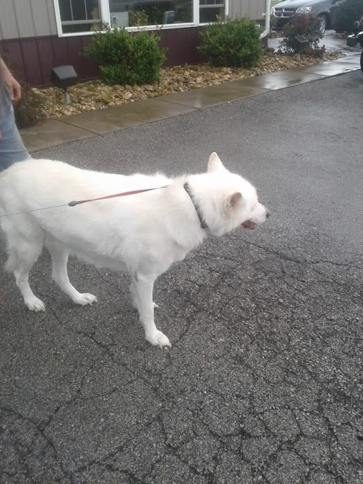 Perry County Animal Hospital Picture 9