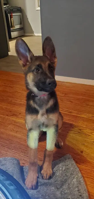 Bremen Animal Clinic Picture 4