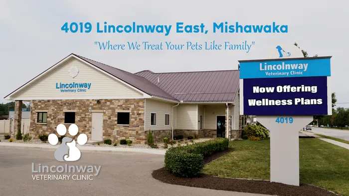 Lincolnway Veterinary Clinic Picture 1
