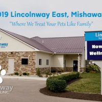 Lincolnway Veterinary Clinic ico