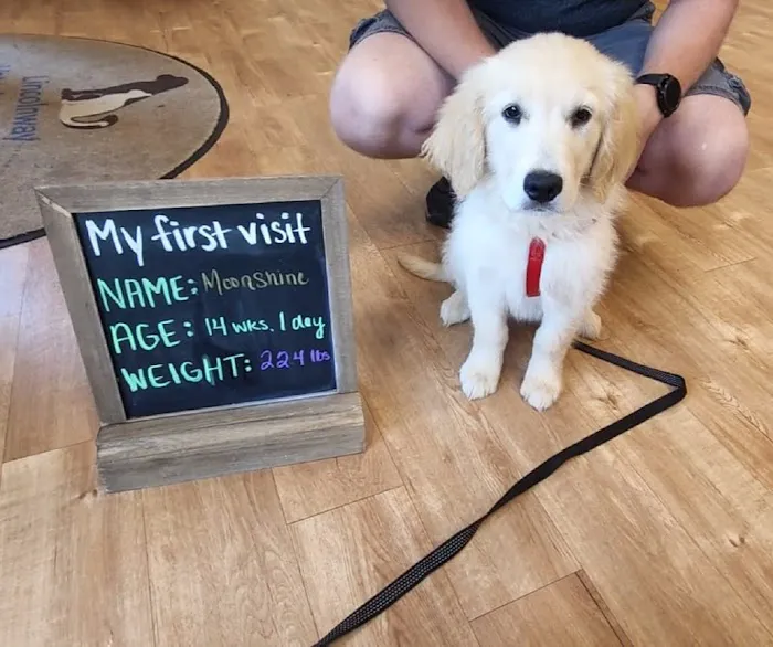 Lincolnway Veterinary Clinic Picture 5
