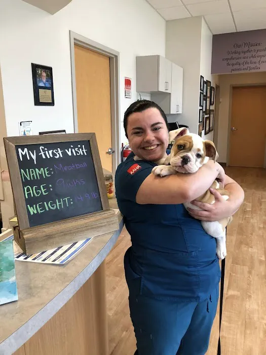 Lincolnway Veterinary Clinic Picture 7