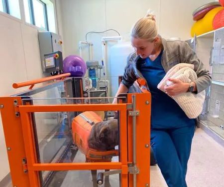 Pawsitive Integrative Veterinary Care