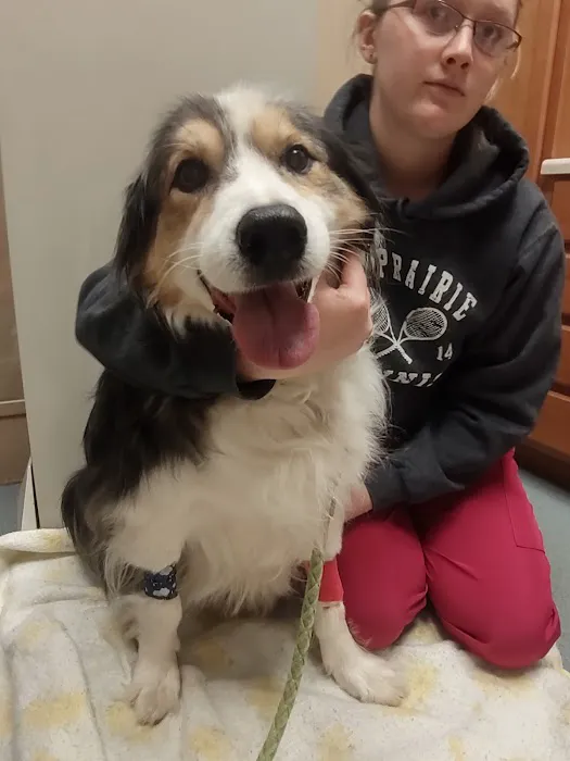 Seven Oaks Veterinary Clinic Picture 3
