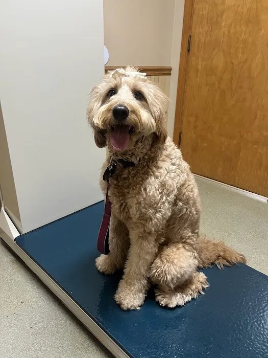 Seven Oaks Veterinary Clinic Picture 1