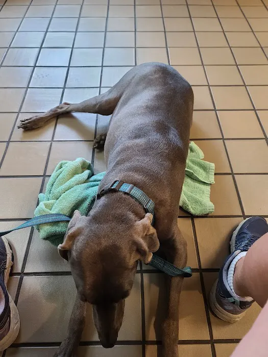 Dowagiac Animal Hospital Picture 4