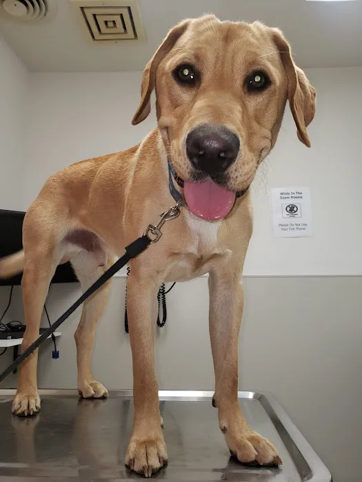 Dowagiac Animal Hospital Picture 10