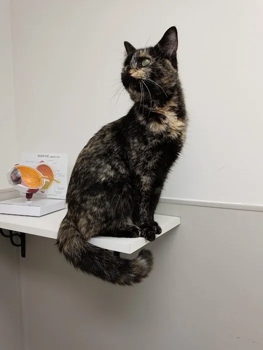 Dowagiac Animal Hospital Picture 9