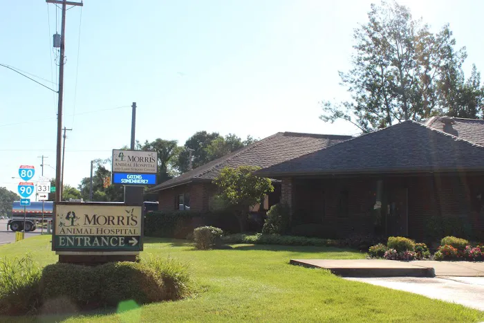 Morris Animal Hospital Picture 7