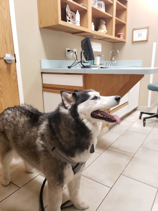 Morris Animal Hospital Picture 2