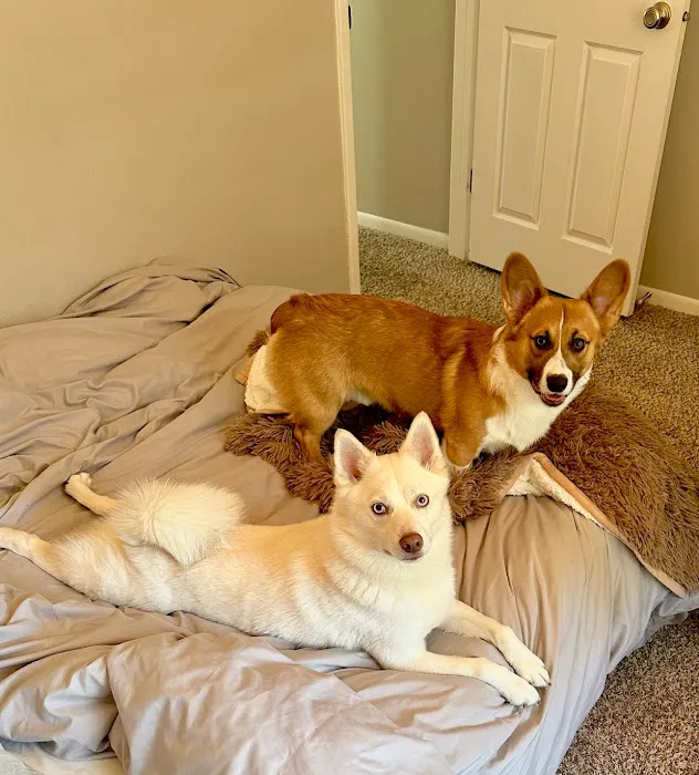 Morris Animal Hospital Picture 10