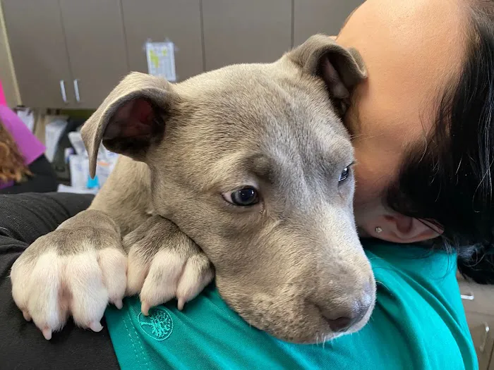 Lakeland Animal Care Picture 3