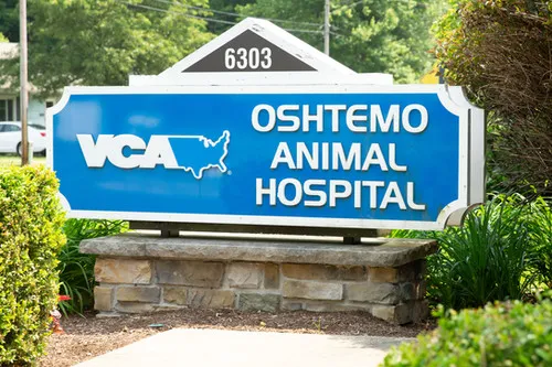 VCA Oshtemo Animal Hospital Picture 10