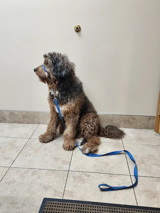 University Park Veterinary Hospital Picture 3