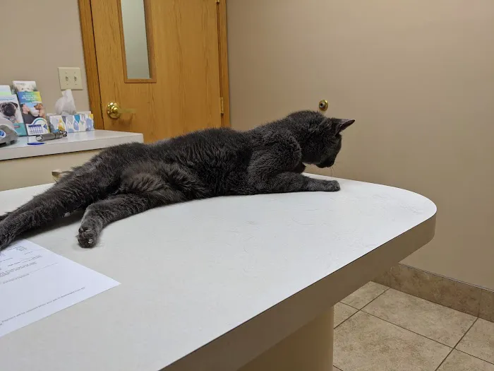 University Park Veterinary Hospital Picture 5