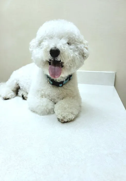 University Park Veterinary Hospital Picture 4