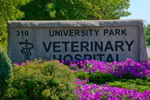 University Park Veterinary Hospital Picture 8