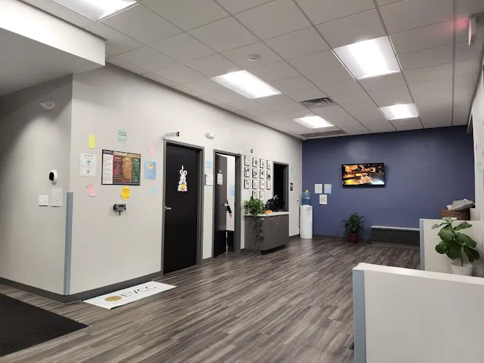 Emergency Veterinary Care Centers Picture 2