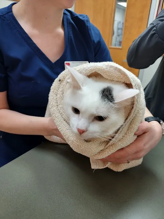 Magrane Pet Medical Center Picture 2