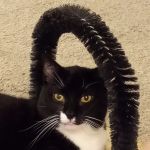 Magrane Pet Medical Center