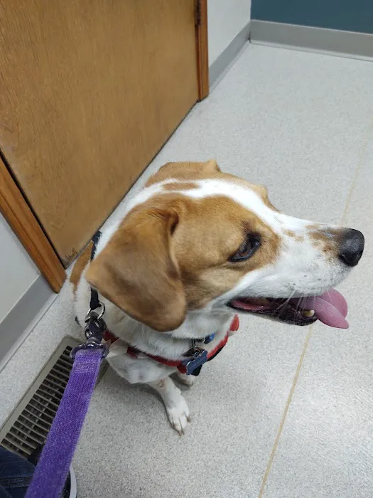 Mishawaka Animal Care Center Picture 1
