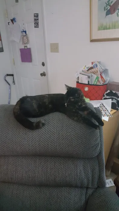 Cat Care Clinic Picture 9