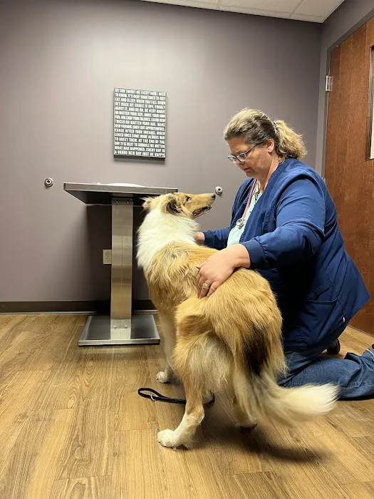 Family Pet Health Center Picture 4
