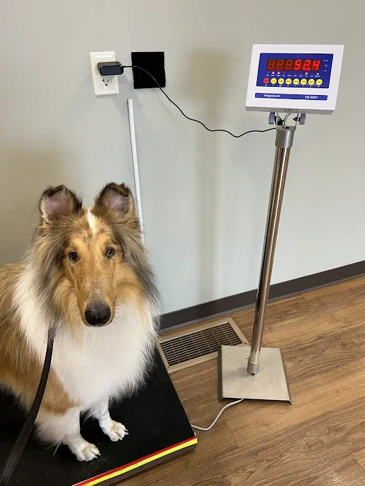 Family Pet Health Center Picture 1