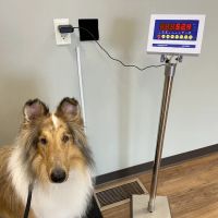 Family Pet Health Center ico