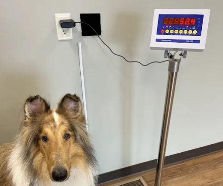 Family Pet Health Center