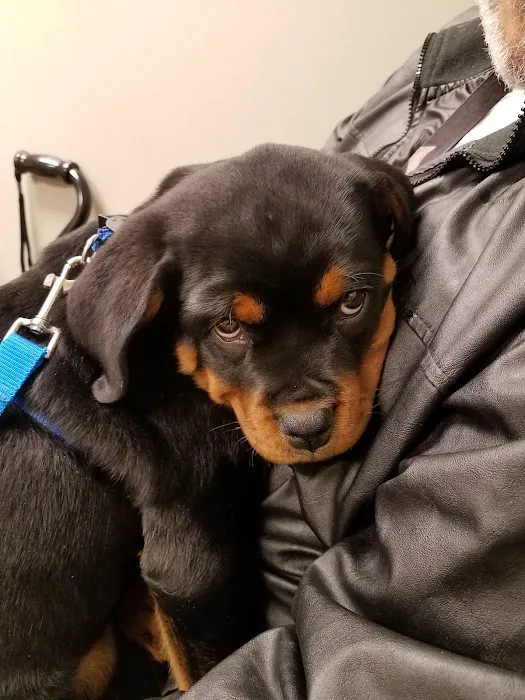 Family Pet Health Center Picture 3