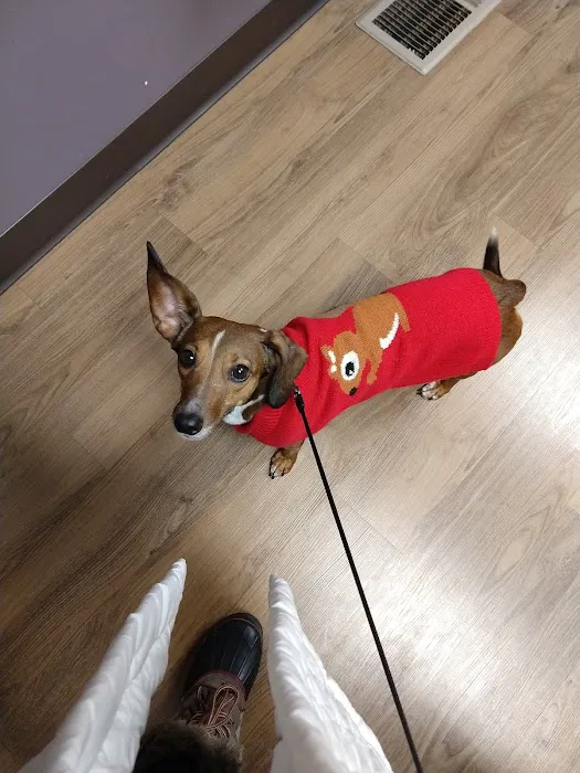 Family Pet Health Center Picture 8
