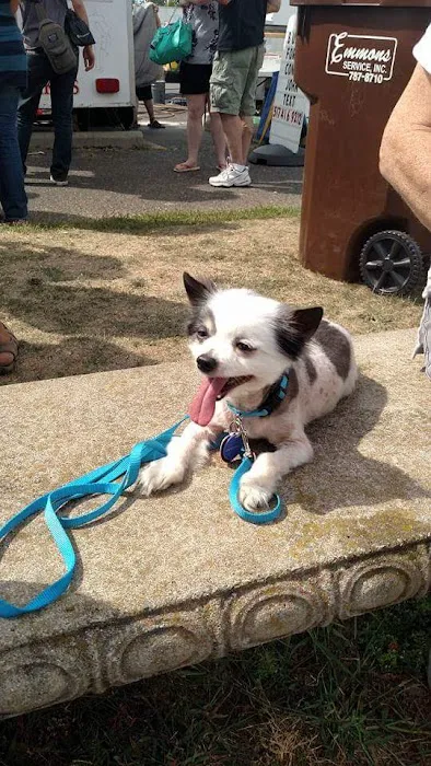 Dansville Vet Clinic Picture 9