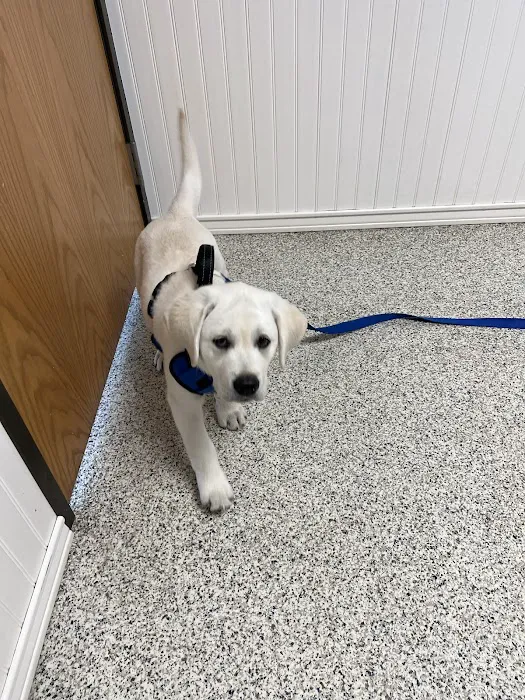 Kern Road Veterinary Clinic Picture 1