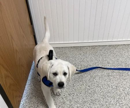 Kern Road Veterinary Clinic