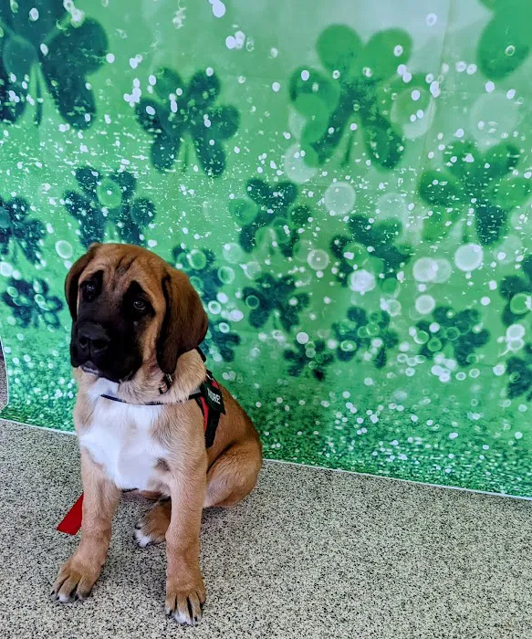 Kern Road Veterinary Clinic Picture 4