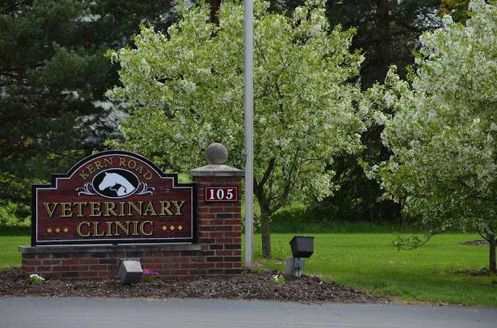 Kern Road Veterinary Clinic Picture 10