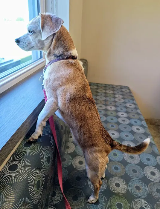 Cedar Creek Veterinary Clinic Picture 4