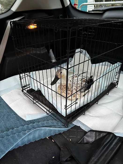 Cedar Creek Veterinary Clinic Picture 5