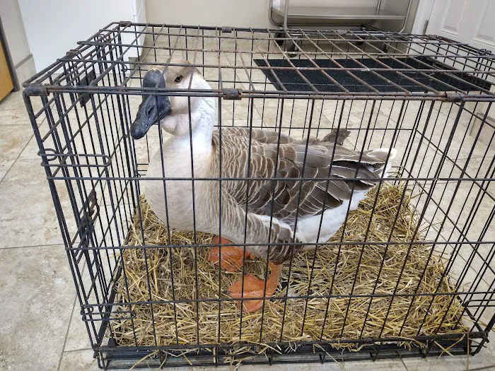 Cedar Creek Veterinary Clinic Picture 7