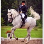 Equine All Sports Medicine
