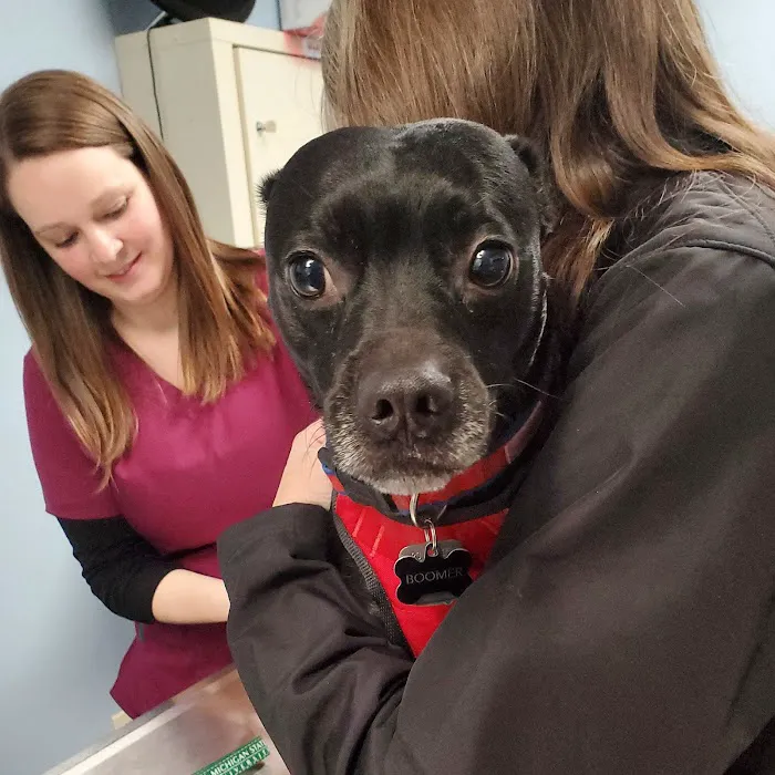 Willoughby Veterinary Hospital of Holt Picture 10
