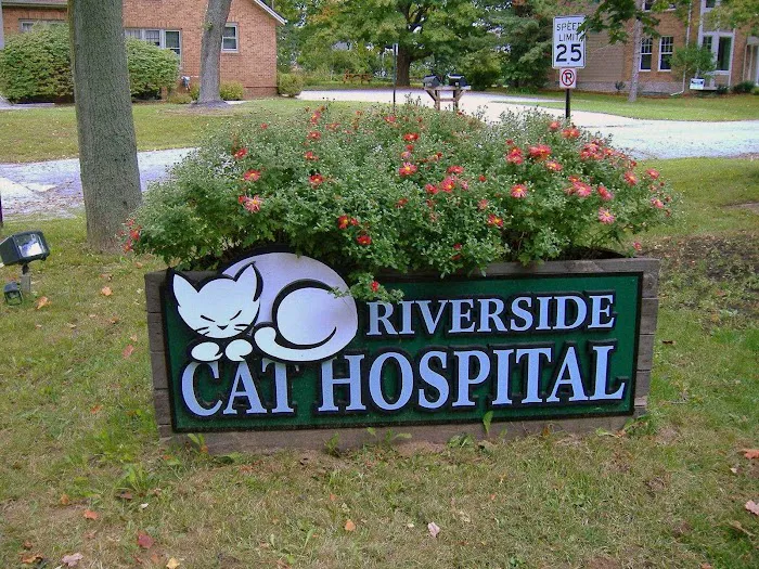 Riverside Cat Hospital Picture 7