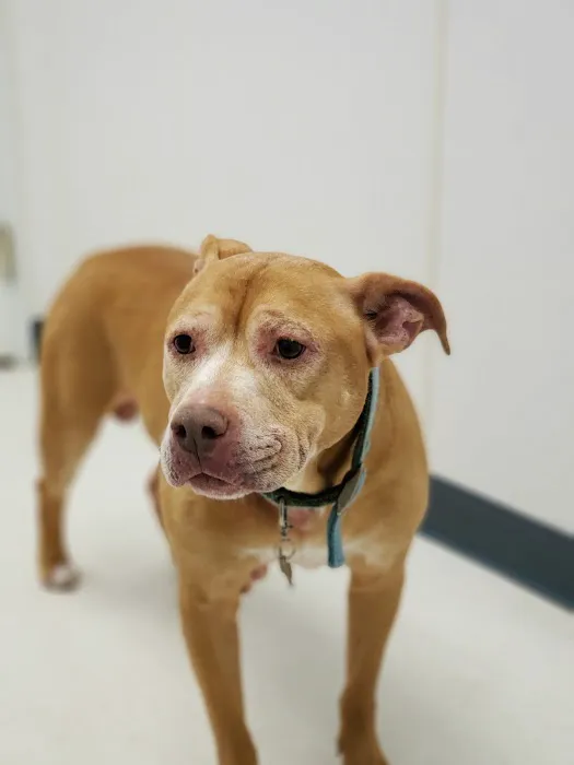 Jolly Road Veterinary Hospital Picture 1