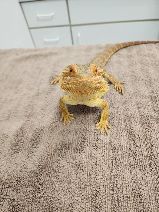 Jolly Road Veterinary Hospital Picture 6