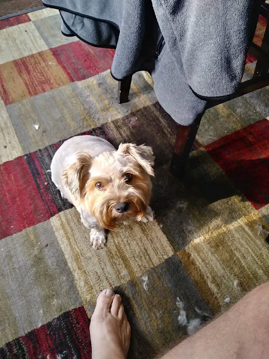 Jolly Road Veterinary Hospital Picture 7