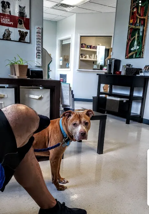 Jolly Road Veterinary Hospital Picture 8